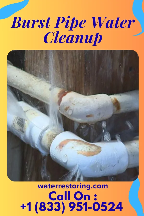 Burst Pipe Water Cleanup in Cetronia, PA