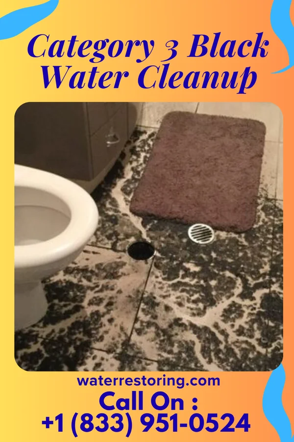Category 3 Black Water Cleanup in Cetronia, PA
