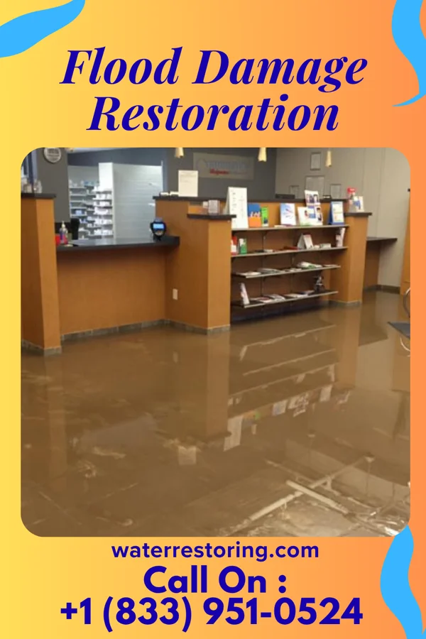 Flood Damage Restoration in Cetronia, PA