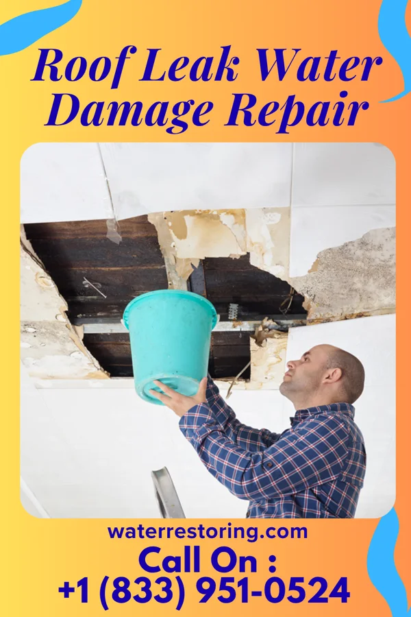 Roof Leak Water Damage Repair in Cetronia, PA