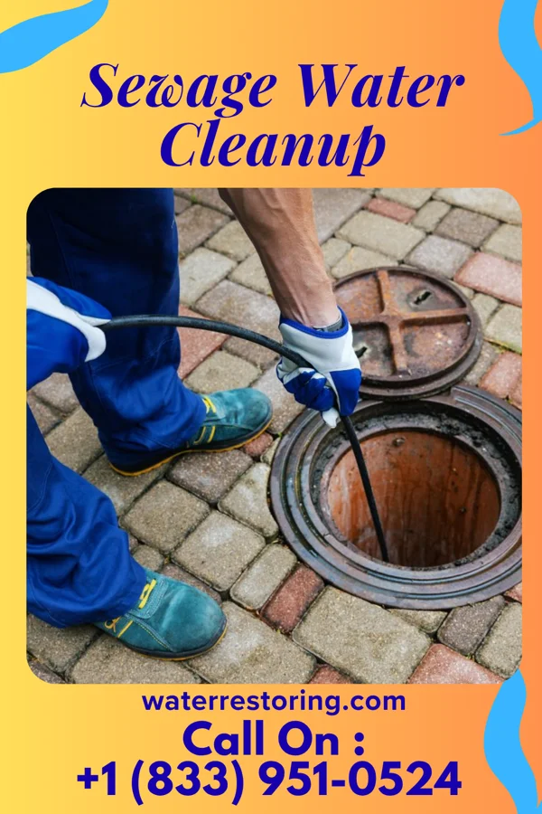 Sewage Water Cleanup in Cetronia, PA