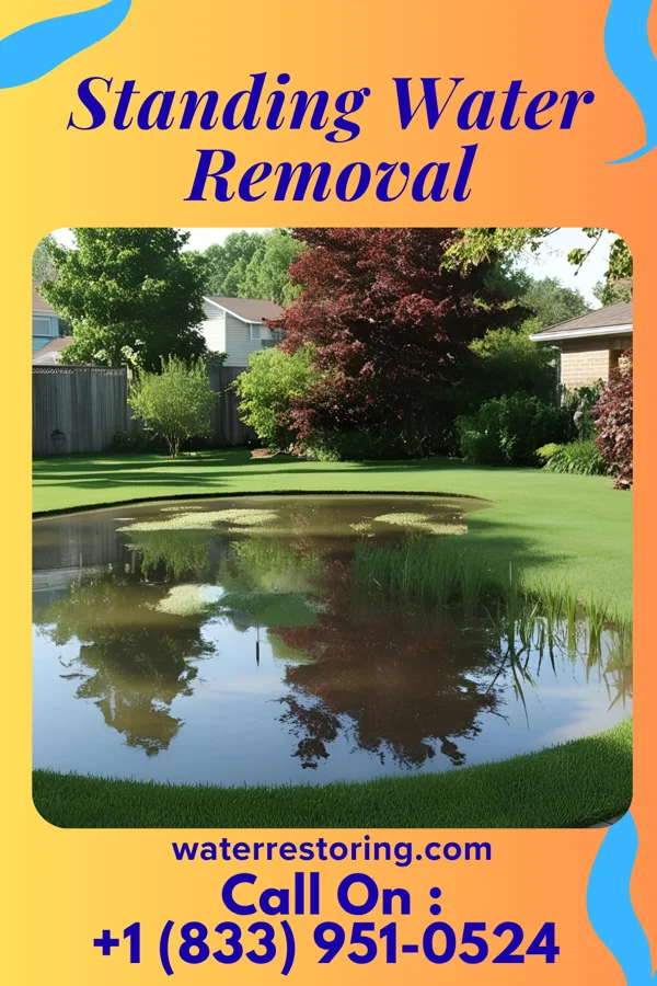 Standing Water Removal in Cetronia, PA